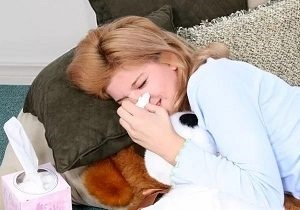 Alergic la papagali la copii și adulți cum să se manifeste și modul de a trata (o alergie la un papagal cum să se manifeste.) Alergic la papagali la copii și adulți cum să se manifeste și cum să trateze