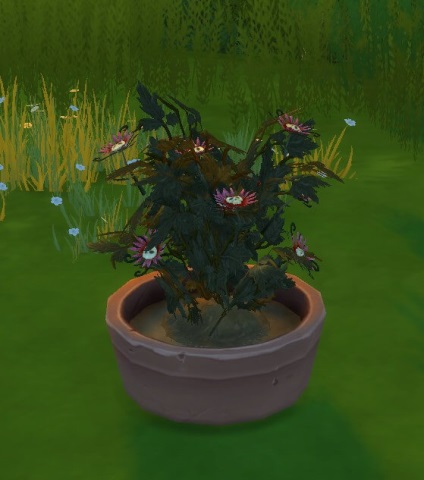 Ambrosia în Sims 4 - modul de a face sau de a primi prin intermediul unui cod (Sims) Ambrosia în Sims 4 - modul de a face sau primi folosind codul