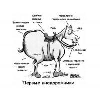 Anecdote despre caii (cai) Glume despre cai