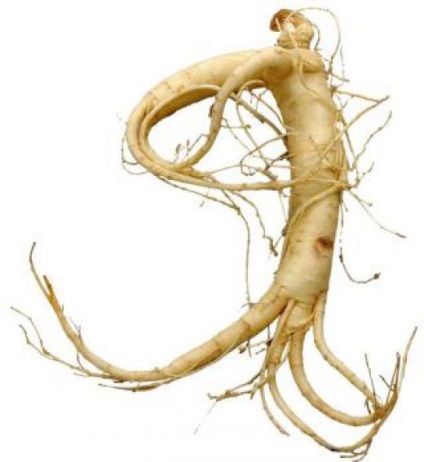APK - Vitus (semințe de peluza Seminte pentru ierburi de cereale Amestec flori de trandafir plantare imagini de irigare plante miere gunoi verde ierburi plante copaci arbuști furajere pentru armarea umede panta depoluării cosit pante a poluării cu hidrocarburi de îngrășământ nămol) APK - Vitus
