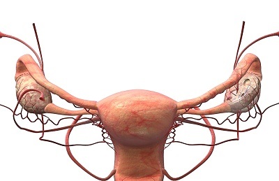 Durere în trompele uterine, este competent pentru sanatate pe ilive (durere) Durere în trompele uterine, este competent pentru sanatate pe ilive
