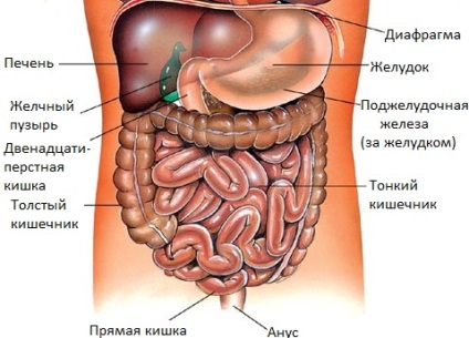dureri abdominale, și că despre asta trebuie să știți (știu) Dureri abdominale și ceea ce trebuie să știți despre ea