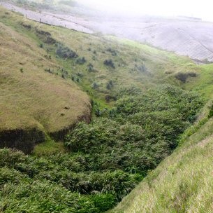 Combaterea ravene prin intermediul unor structuri hidraulice, ecologie, pădure și sol