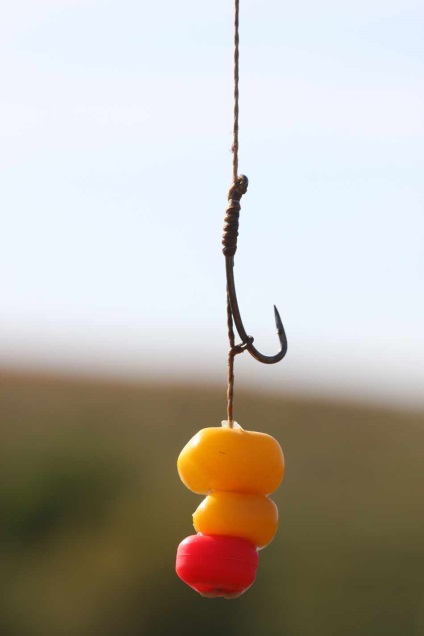 accesorii Boylovaya si momeli populare (momeală) accesorii Boylovaya si momeli populare