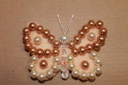 Butterfly Brosa din pâslă, cu mâinile lor (master-class) Butterfly Brosa din pâslă, cu mâinile lor