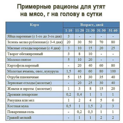 Ce să se hrănească rațele - ei mananca rață, reguli de luare a hranei pentru animale de la domiciliu, de îngrășare și (mânca) Ce să se hrănească rațele - ei mananca rață, normele de hrana pentru animale de luare la domiciliu, de îngrășare și