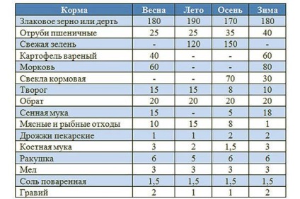 Ce să se hrănească rațele - ei mananca rață, reguli de luare a hranei pentru animale de la domiciliu, de îngrășare și (compilare) Ce să se hrănească rațele - ei mananca rață, normele de hrana pentru animale de luare la domiciliu, de îngrășare și