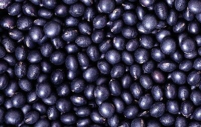 compoziția linte neagră, utilizarea (negru) compoziție linte neagra, utilizarea