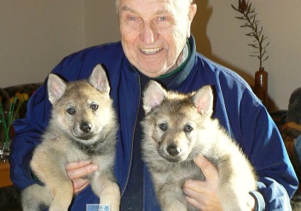 Wolfdog cehoslovac (povești de viață) Wolfdog cehoslovac