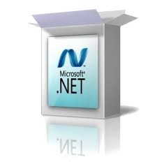 Ce este Microsoft (dvs.) Ce este Microsoft