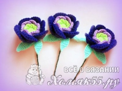 flori Crochet (flori) flori de croșetat