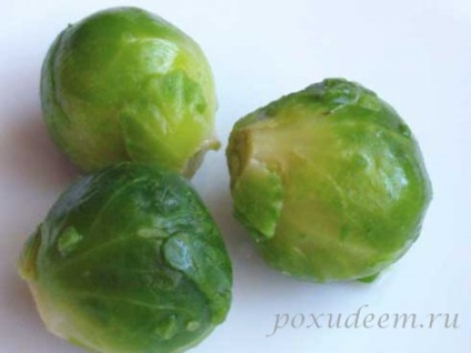 Conopidei (produs) conopidă