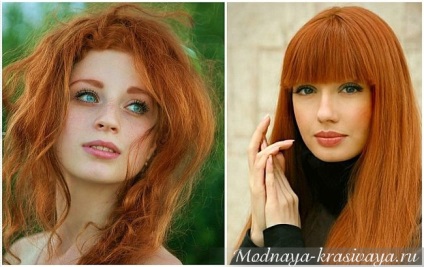 Tsvetotip Toamna - paleta de culori, make-up, un dulap de bază (Paletă) Tsvetotip Toamna - paleta de culori, make-up, un dulap de bază