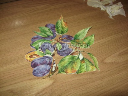 tava Decupaj (decupaj tava de master de clasă) tava decoupage