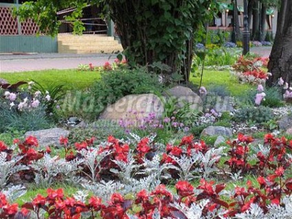 Efectuarea deal alpin cu mâinile lor (lor) Efectuarea deal alpin cu mâinile lor