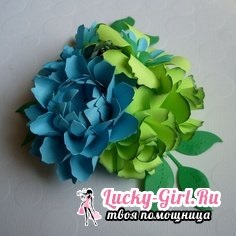 Face flori cu propriile sale mâini (flori) Noi facem florile cu propriile sale mâini