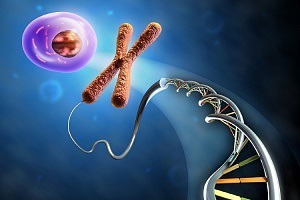 Diagnosticul și acordarea primului ajutor comei hipoglicemice (se introduce soluție intravenoasă) Diagnostic și de prim ajutor cu comă hipoglicemică