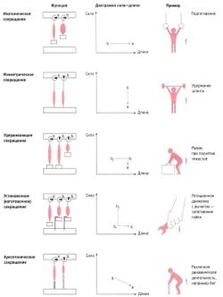 exerciții dinamice și de formare (training) exerciții dinamice și de formare