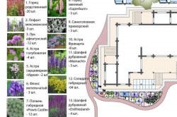 Design de landsaft teren agricol (sfaturi de design peisaj și soluții interesante) Proiectare teren agricol peisaj
