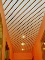 Design plat coridor (apartament) Coridorul de proiectare apartament