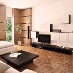 Design-ul sălii în apartament (elemente de design decorative) Design-ul sălii în apartament