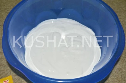 crema de casă gheață și lapte condensat (cremă) înghețată de casă și lapte condensat