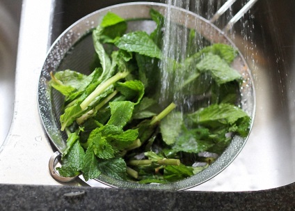 Lichior menta reteta lichior de menta de casă la domiciliu (reteta) lichior de menta reteta lichior de menta de casă la domiciliu