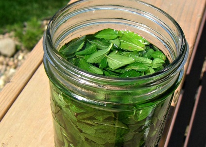 Lichior menta reteta lichior de mentă casă acasă (mentă) lichior de menta reteta lichior de menta de casă la domiciliu