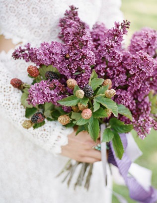 Parfumați de liliac 35 idei pentru buchet de mireasa (buchet de liliac) Parfumați de liliac 35 idei pentru un buchet de mireasa