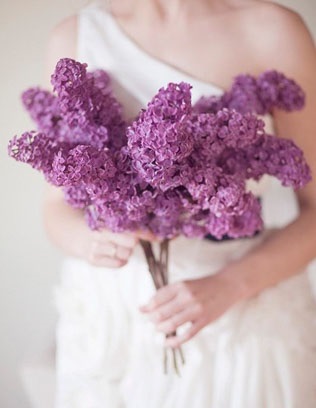 Parfumați de liliac 35 idei pentru buchet de mireasa (buchet de liliac) Parfumați de liliac 35 idei pentru un buchet de mireasa