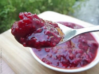 Dulceata de zmeura pe rețete de iarnă (rețete) Dulceata de zmeura pe rețete de iarnă