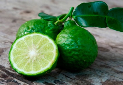 Uleiul esential de bergamot, proprietățile utile, utilizarea pentru tratament (util) Uleiul esential de bergamot, proprietățile utile, utilizarea pentru tratamentul