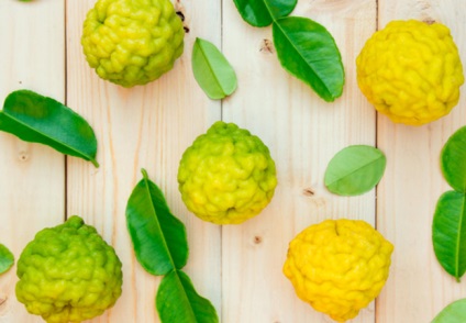 Uleiul esential de bergamot, proprietățile utile, utilizarea pentru tratament (ulei esential de bergamot) Uleiul esential de bergamot, proprietățile utile, utilizarea pentru tratamentul