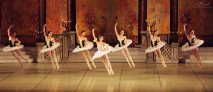 Există un astfel de fotograf profesie balet, balerina - e dressing (există o astfel de profesie) Există o astfel de profesie fotograf balet, balerina - e dressing