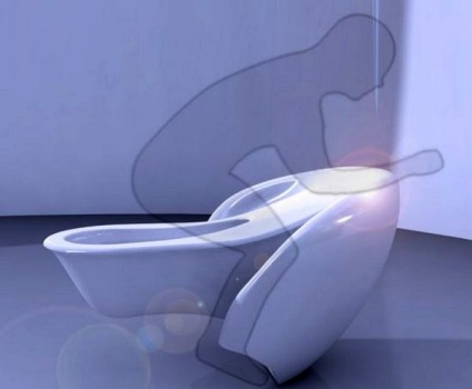 Este de necesitate (feminin-masculin WC pișoar) Este de necesitate