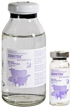 Evinton - imunomodulator pentru câini (Evintonom poate fi folosit) Evinton - imunomodulator pentru câini