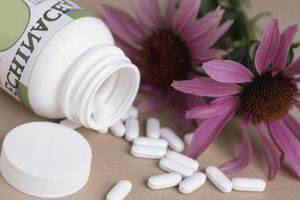 Echinacea - un instrument puternic pentru a consolida sistemul imunitar la copii și adulți, proprietățile benefice (benefice) Echinacea - un instrument puternic pentru a consolida sistemul imunitar la copii și adulți, proprietăți utile