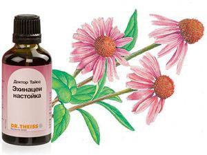 Echinacea - un instrument puternic pentru a consolida sistemul imunitar la copii și adulți, proprietățile benefice (sistem) Echinacea - un instrument puternic pentru a consolida sistemul imunitar la copii și adulți, proprietăți utile