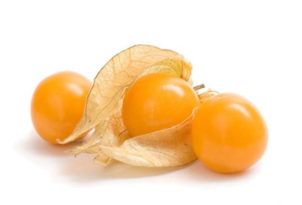 Physalis proprietăți și aplicații utile (proprietăți) Physalis proprietăți și aplicații utile