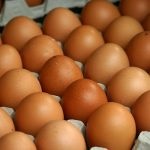 pui Hamburg - o descriere nepretențios rasa (rasa Hardy) pui Hamburg - nepretențioasă descriere rasa Hardy