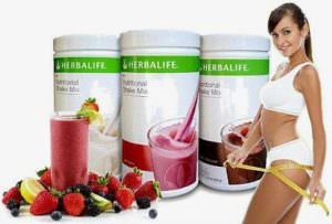 Herbalife shake - pret, structura, reală, gust, calorii, cum să gătească (cocktail) Herbalife shake - pret, structura, reală, gust, calorii, cum să gătească