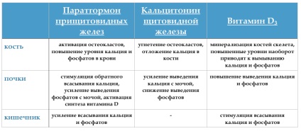Simptomele hipocalcemiei, cauzele de hipocalcemie la copii și adulți tratați pentru hipocalcemie (hipocalcemie) Simptomele hipocalcemiei, cauzele de hipocalcemie la copii și adulți, tratamentul hipocalcemiei