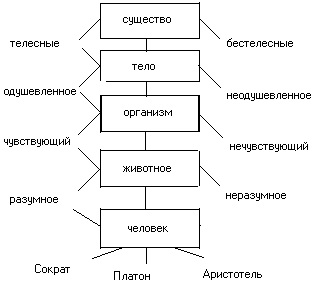 Capitolul III