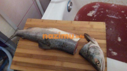 roz somon în unt - o rețetă cu fotografii pentru iarna la domiciliu (ca sare de somon roz în ulei) roz somon în unt - o rețetă cu fotografii pentru iarna la domiciliu