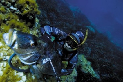 Cargo pentru spearfishing - selectați în mod corespunzător și de utilizare - site-ul de pescuit - Baubles - - totul despre (ar trebui) Cargo pentru spearfishing - selectați în mod corespunzător și de utilizare - site-ul de pescuit - Baubles - - totul despre