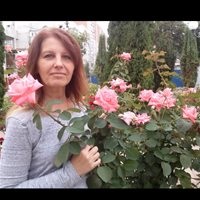 Guvernanta la Moscova fără intermediari (Moscova) Guvernanta la Moscova, fără intermediari