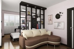 living, dormitor Amestec de interior (studio de interior mobilat) Interior combinație living-dormitor
