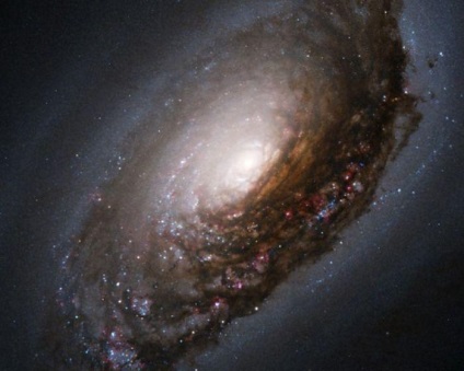 fapte interesante despre univers (universul) fapte interesante despre univers