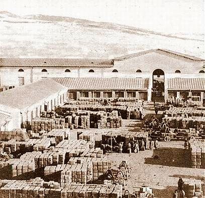 Istoria ceaiului în România, ca și ceai a apărut în România (poveste) Istoria ceaiului în România, ca ceaiul a venit în România
