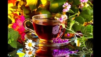 Vindecarea poem (poezii) vindecare poezie
